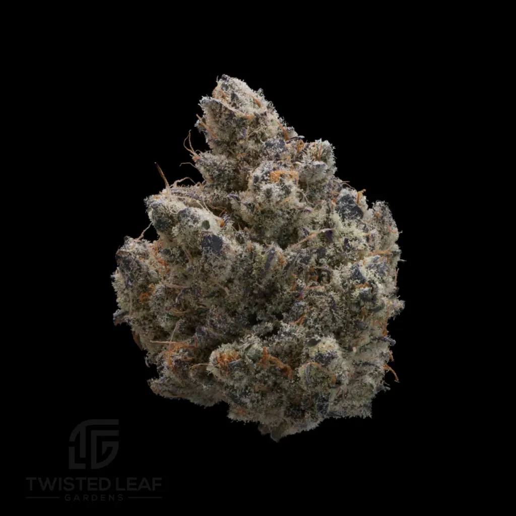 Truffle Cake #5 Smalls