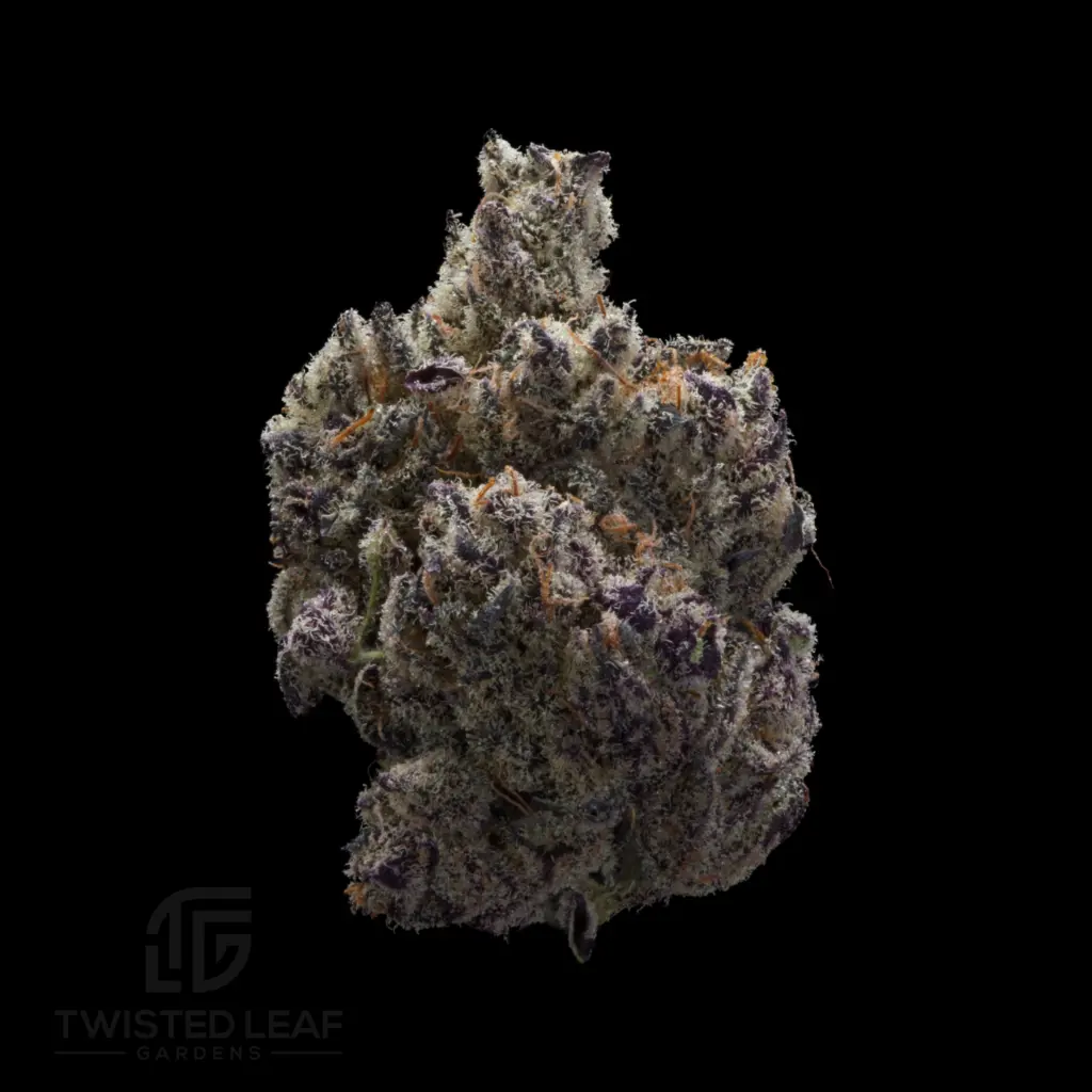 Truffle Cake #8 Smalls