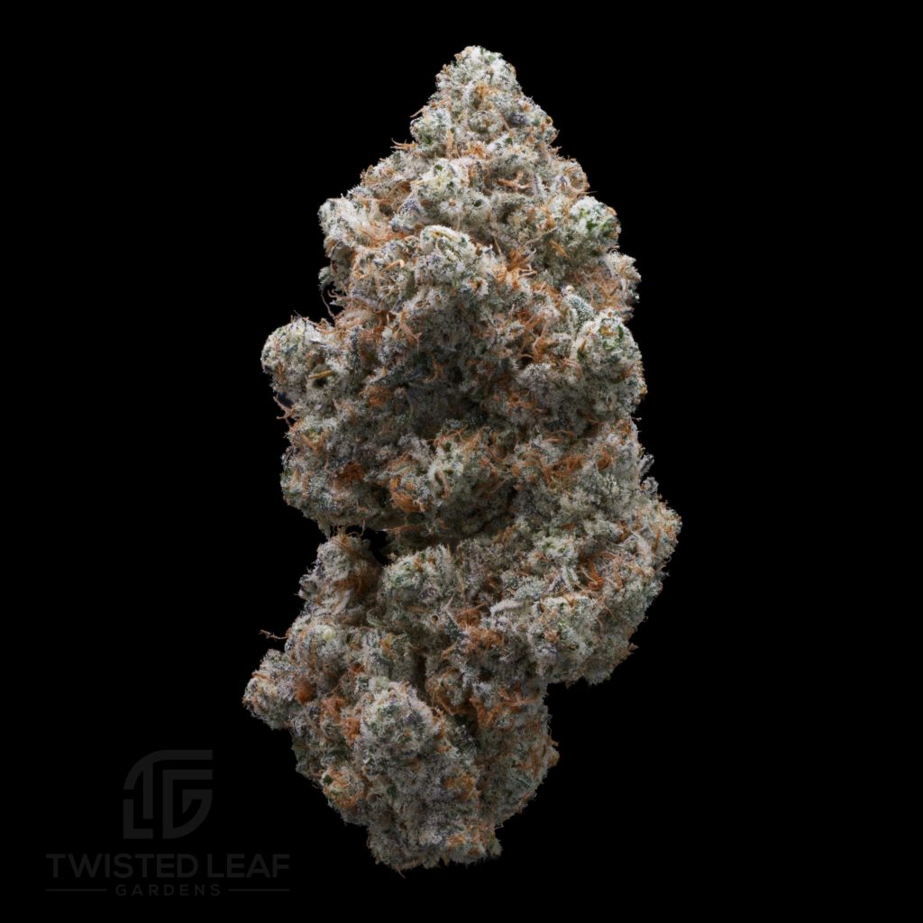 Sour Gorilla