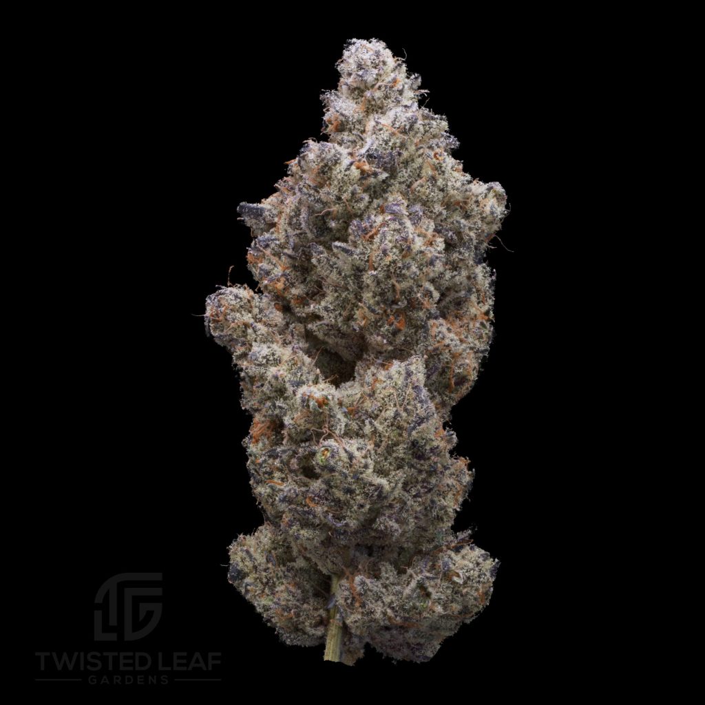Truffle Cake #5