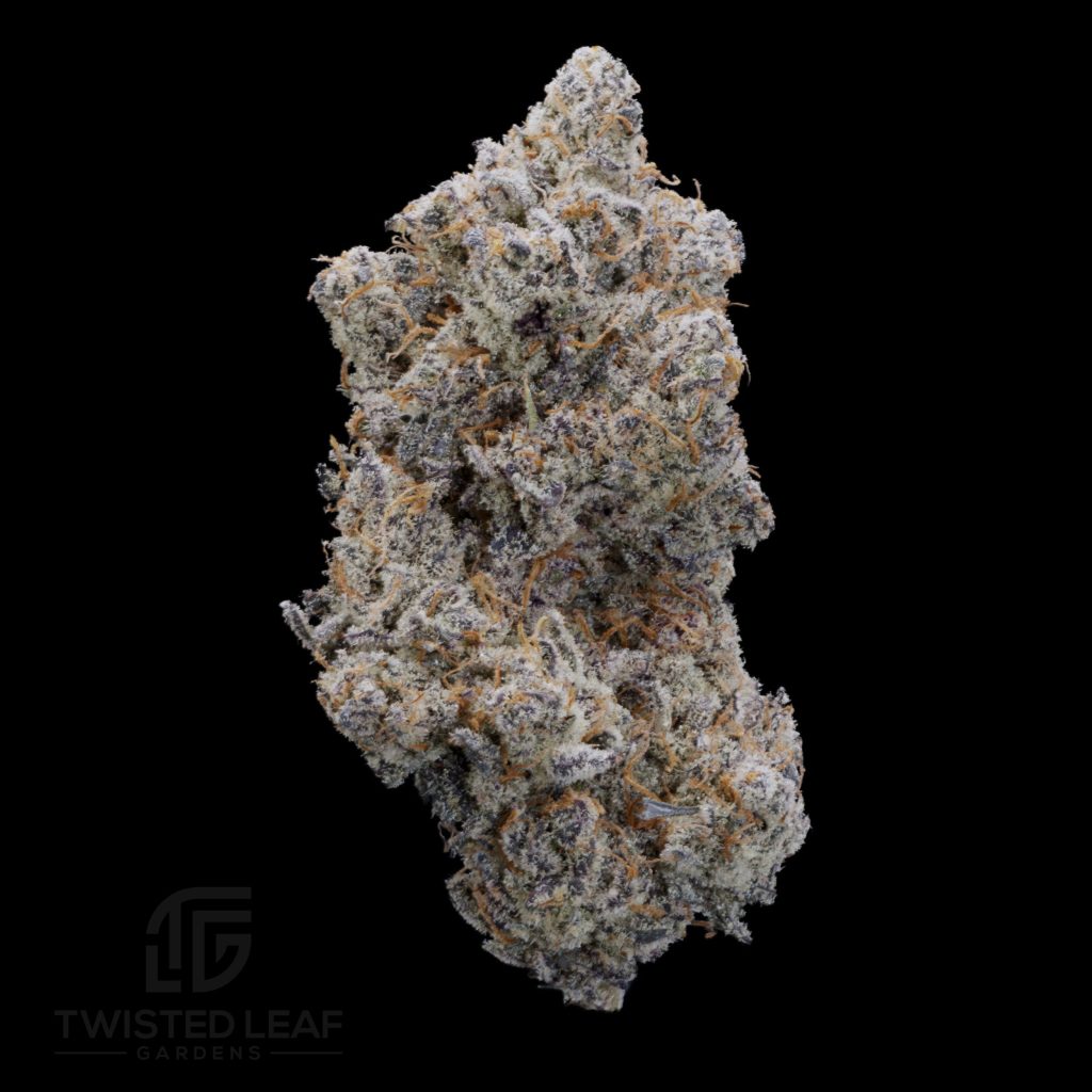 Truffle Cake #8
