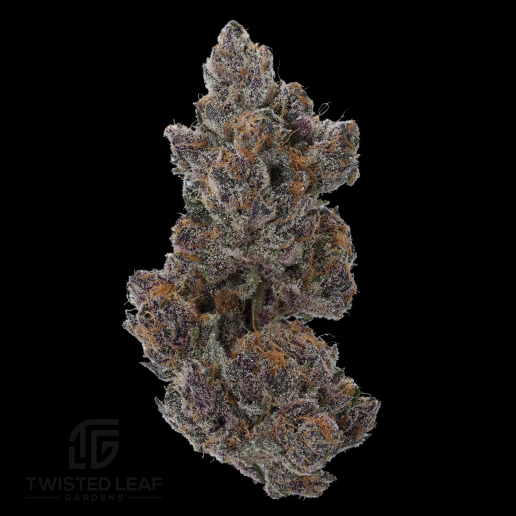 Dark Queen #3