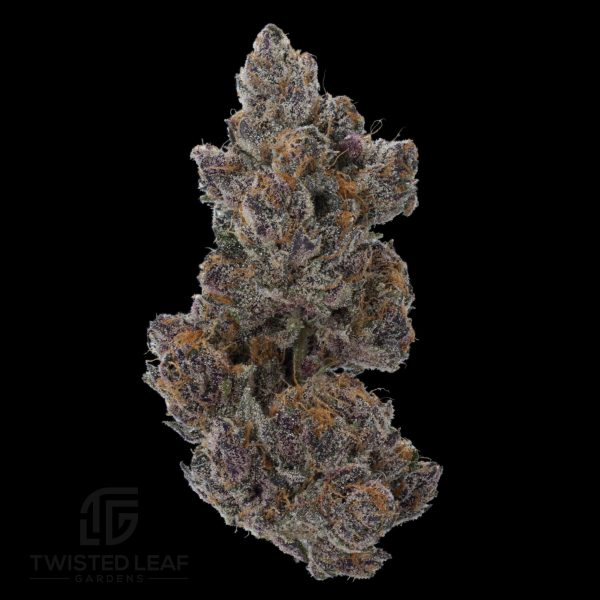 Dark Queen #3