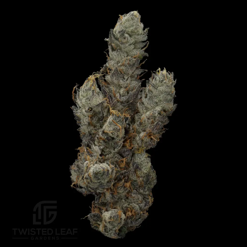 White Runtz #24