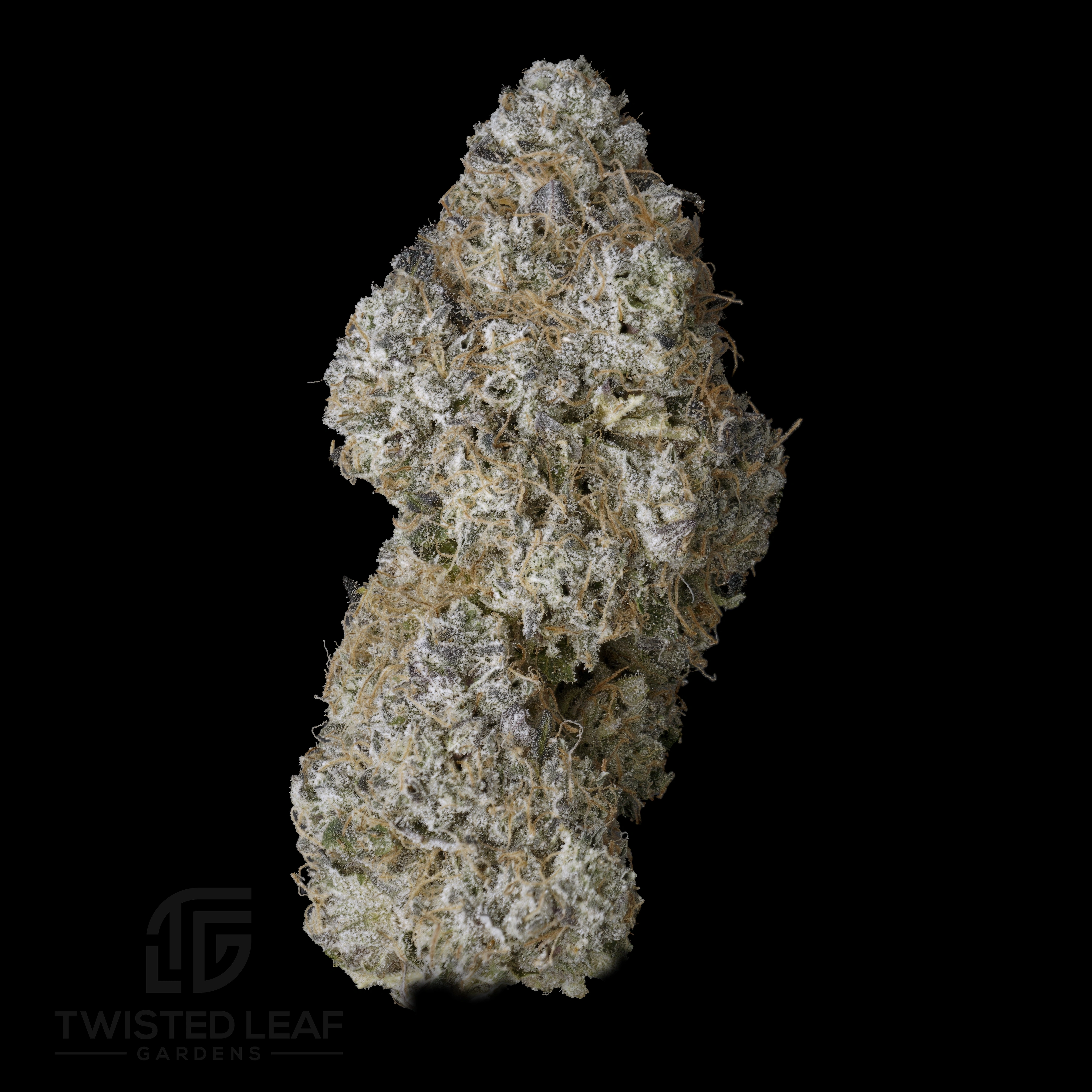 Maple Jar - Image 2