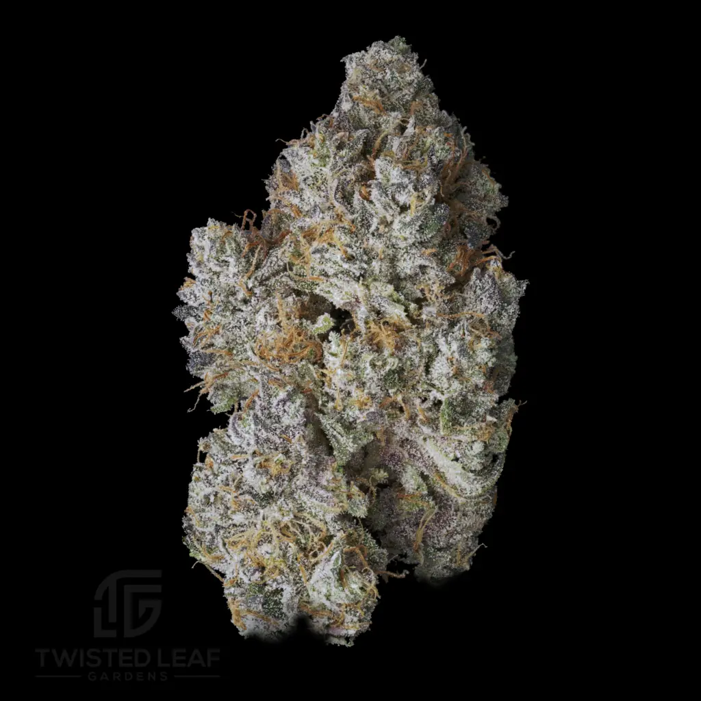 Strawberry Cannoli #17